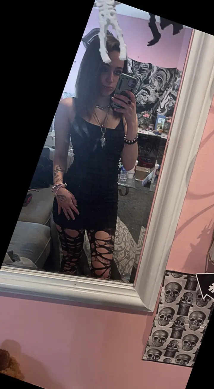 Kitten