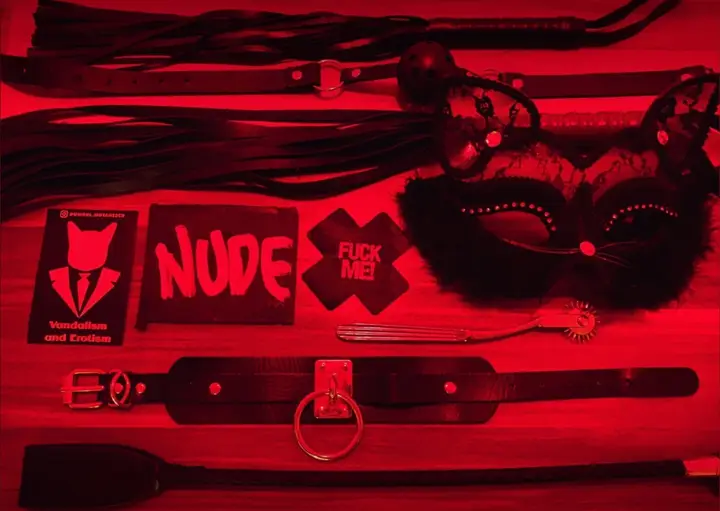 Erotic Vandal