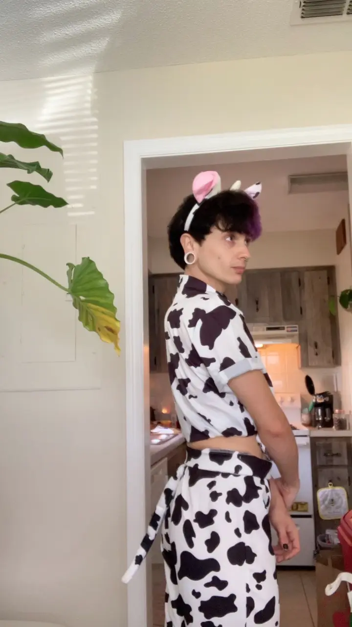 Cow boi#4