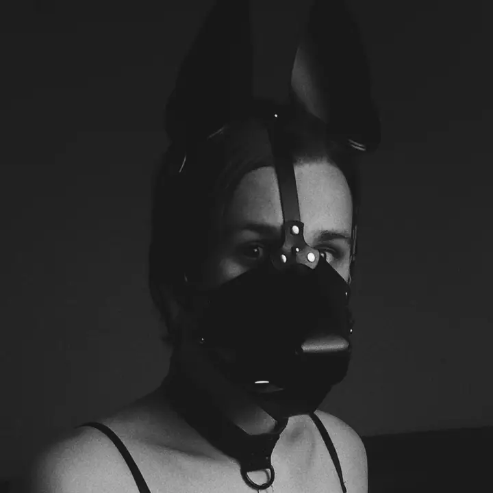 HifiPup