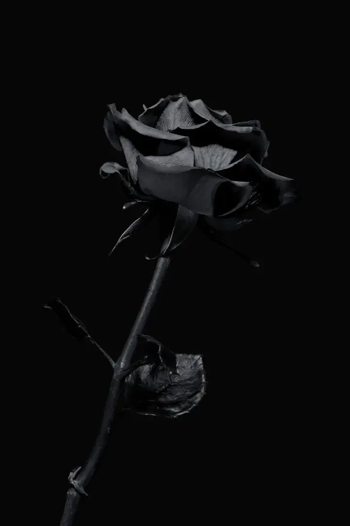 BlackThornedRose