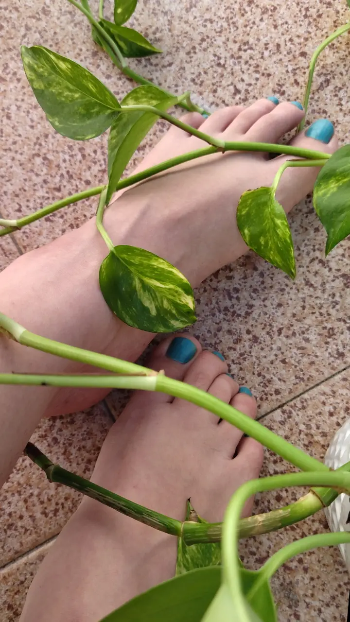 Size 7
