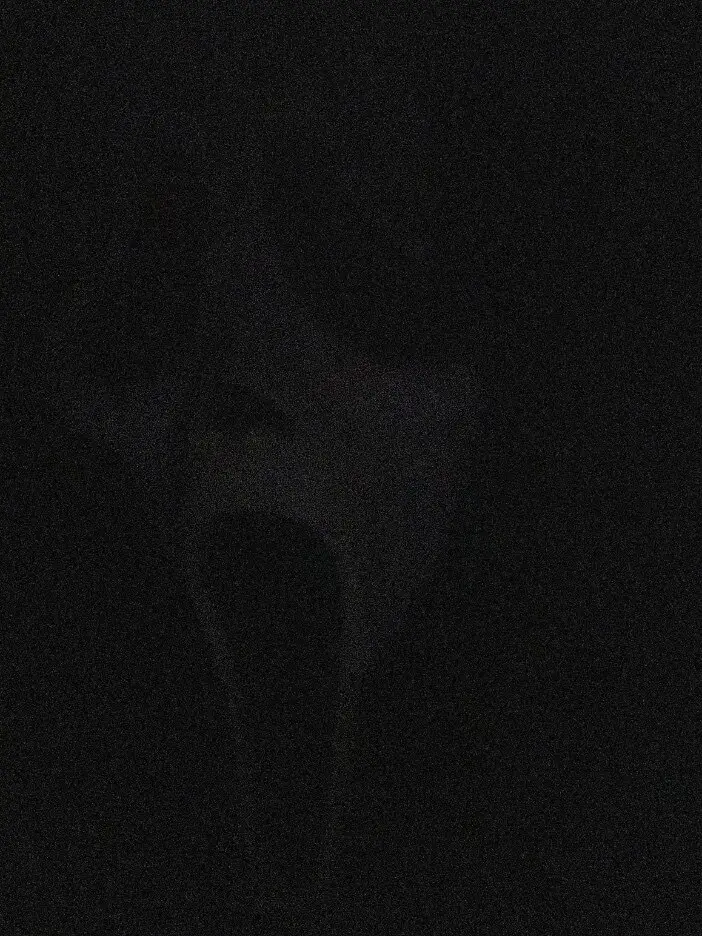 Naked Ghosts