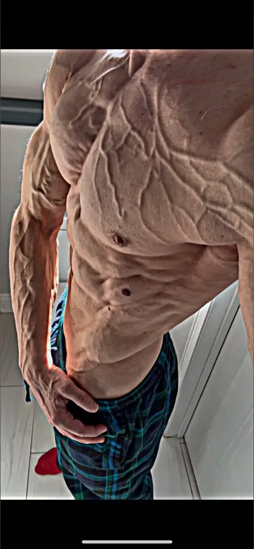 King Shredz